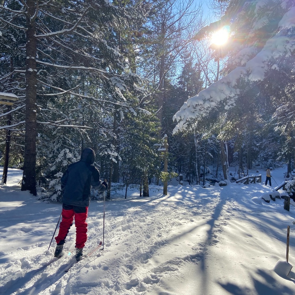 Meet your Posher, Sue